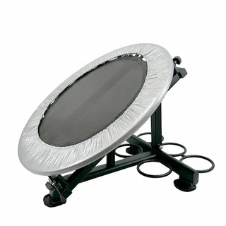 Health You HEA254 Healthy You Medicine Ball Rebounder With Rack