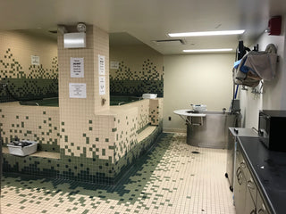 Sports Whirlpool, WHS-90-S, 90 Gallon Stationary-1