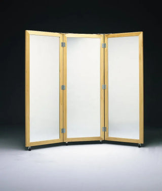 Bailey Manufacturing Model 701 Mobile Triple Posture Adult Mirror