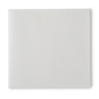 Plain white Bedside-Care® EasiCleanse™ 939883_CS Rinse-Free Bath Wipe on a white background