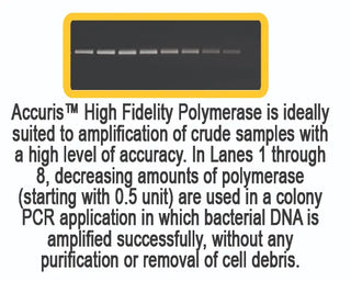 Benchmark Scientific Accuris™ High Fidelity PCR-1