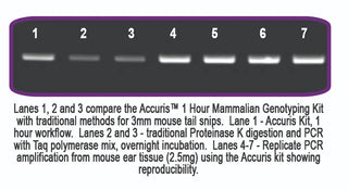 Benchmark Scientific Accuris™ Mammalian Genotyping Kit-2