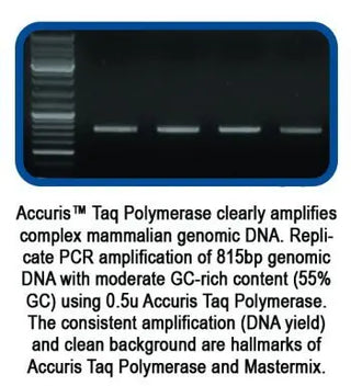 Benchmark Scientific Accuris™ Taq-2