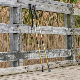 Drive Medical RTL10330MN Summit Walking Poles, 200 lb Weight-Bearing Capacity per Pole