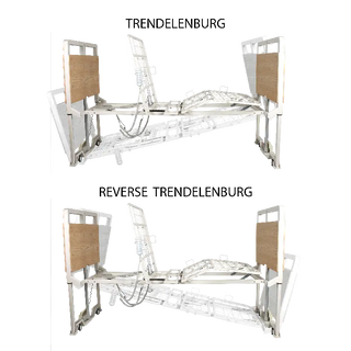 Dynarex DB500 LTC 5 Function Ultra-Low Bed
