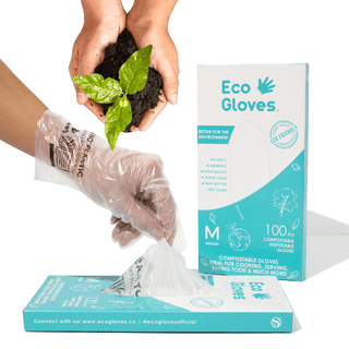 Eco Gloves compostable gloves box shown with the shipping carton and a clear glove