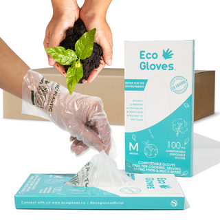 Eco Gloves compostable gloves box shown with the shipping carton and a clear glove