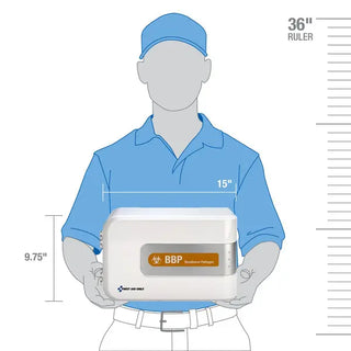Illustration of a person holding a BBP product with dimensions displayed