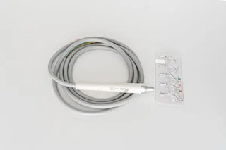 Flight N6LED-1902, Piezo 24V Built-In Scaler with LED - EMS Compatible