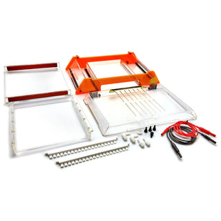 IBI Scientific IB56000 HR-2025 High Resolution Electrophoresis System