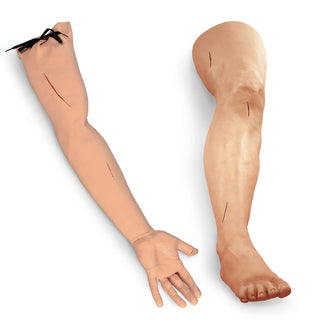 Beige silicone leg and arm model on a white background