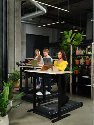 People using Lifespanfitness TR5000BPro-SC130 Omni GlowUp Under Desk Treadmill in a modern office setting with plants and office furniture.