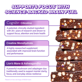 MOSH infographic describing the Brain Blend ingredients in the Chocolate Sea Salt High Protein Bar