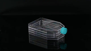 NEST Scientific 3-Layer Cell Culture Flask, Plug Seal or Vent Cap,  Straight Neck, TC, Sterile 1/pk, 12/cs