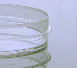 NEST Scientific 60mm Cell Culture Dish, With or Without Gripping Ring, TC, Sterile 20/bag, 500/cs