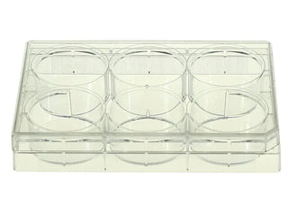 NEST Scientific 703003 6 Well Cell Culture Plate, Flat, TC Treated, Sterile Individually Wrapped in Plastic, 50/cs