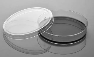 NEST Scientific 704004 100mm Cell Culture Dish, TC, Sterile 5/bag, 300/cs