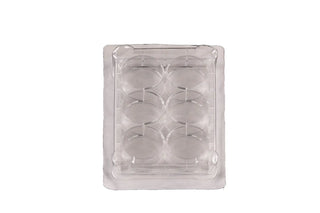 NEST Scientific 712001 12 Well Cell Culture Plate, Flat, TC Treated, Sterile, Individually Wrapped In Peelable Film