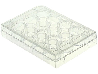 NEST Scientific 712003 12 Well Cell Culture Plate, Flat, TC Treated, Sterile Individually Wrapped in Plastic, 50/cs