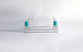 NEST Scientific BioFactory 2 chamber vessel, front view showing cap ports