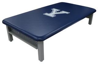 Navy blue Pivotal Health Aluma Elite Mat Table with 'Y' logo on a white background