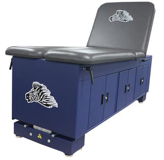 Blue and gray Pivotal Health ET Treatment Cabinet with zebra logo on a white background
