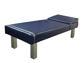 Blue Pivotal Health Recovery Couch with Steel Legs on a white background