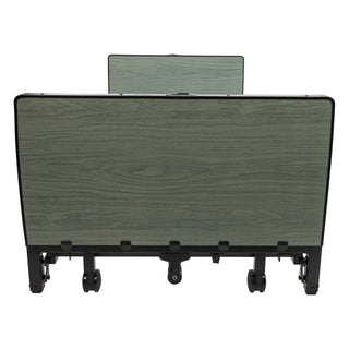 Proactive Protekt Akra-FE Full-Electric Low Bed, Black
