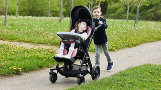 R82 Chilla All-Terrain Adaptive Pediatric Stroller, 2 Size Frame Options With / Without Suspension