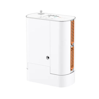 Rhythm Healthcare P2-S4 Portable Oxygen Concentrator, Lightweight, Single Battery Standard