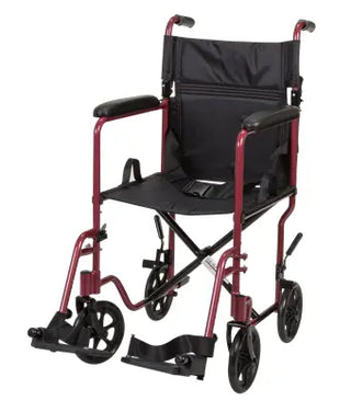 Rhythm Healthcare L2019XX 19" Aluminum Companion Chair
