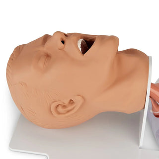 Mannequin head used for CPR training on a white background