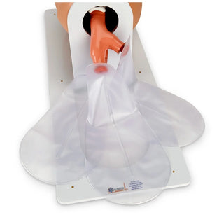 Simulaids 500 Economy Adult Airway Management Trainer Head