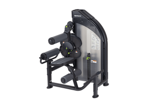 SportsArt DF-306 Dual Function Strength Series Back Extension/AB Crunch, 220 lbs Weight Stack