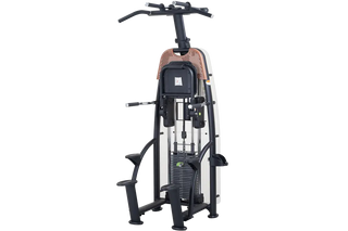 SportsArt N911 Status Strength Series Assisted Chin Dip, 220 lbs Cold Rolled Steel Weight Stack, Non-slip Steps