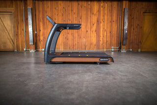 SportsArt T676 Eco-Natural Treadmill, 500 lbs Max User Weight