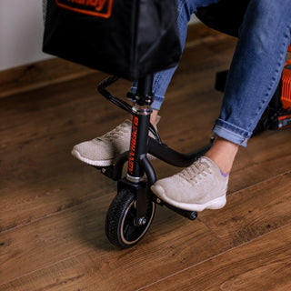 Passport Mobility Scooter - 48V 2Ah Battery, Lightweight (35 lbs), Foldable + Extra Battery