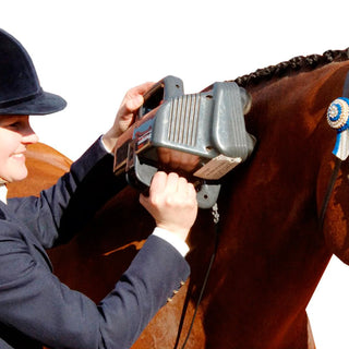Thumper Equine Pro 1007ENA professional equine percussion massager in gray with multi-head design and included GFCI device.