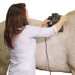 Thumper Equine Pro 1007ENA professional equine percussion massager in gray with multi-head design and included GFCI device.