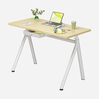 Oak WalkingPad ETD6 standing desk set up with a laptop and plant