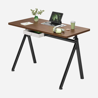 Black walnut WalkingPad ETD6 standing desk set up with a laptop and plant