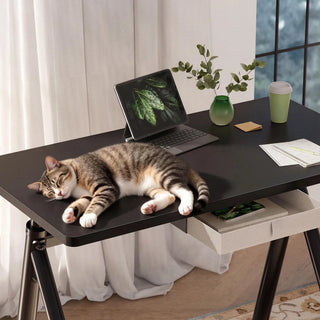 Cat lying on a black WalkingPad ETD6 standing desk beside a monitor