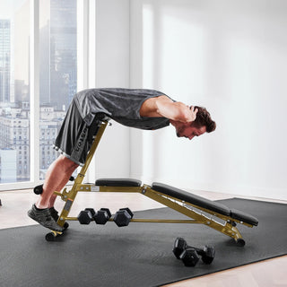Man performing a back extension on the WalkingPad MATE-WB1 Roman chair