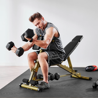 Man curling dumbbells while seated on the gold WalkingPad MATE-WB1 Roman chair