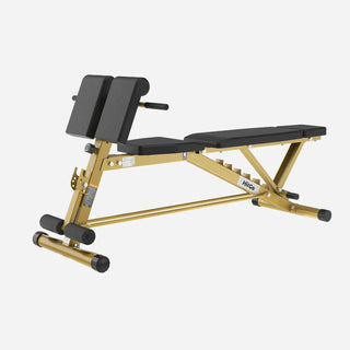 Gold WalkingPad MATE-WB1 Roman chair with the backrest set flat