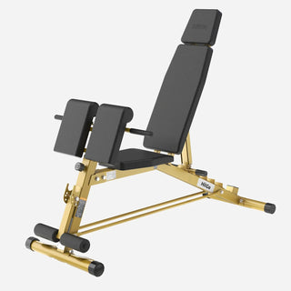 Gold WalkingPad MATE-WB1 Roman chair with the backrest raised and the curl pad fitted