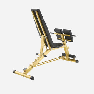 Gold WalkingPad MATE-WB1 Roman chair seen from behind the curl pad