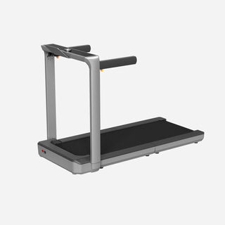 WalkingPad X25 Plus treadmill fully unfolded with the frame upright